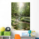 Stream Forest