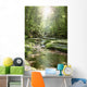 Stream Forest