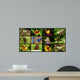 Butterflies Wall Mural