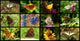 Butterflies Wall Mural