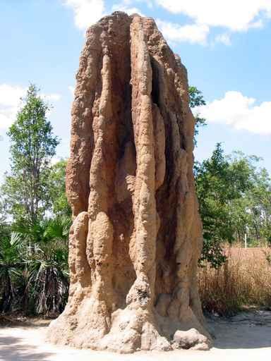 Termite Mound Wall Decal