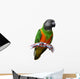 Senegal Parrot Wall Decal