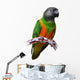 Senegal Parrot Wall Decal