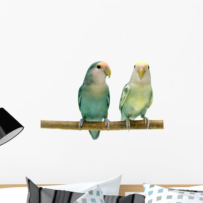 Pair Peach-faced Lovebirds Wall Decal shown on a wall