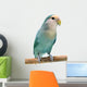 Peach-faced Lovebird (agapornis Roseicollis Blue Morph) Wall Decal