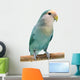 Peach-faced Lovebird (agapornis Roseicollis Blue Morph) Wall Decal