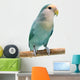 Peach-faced Lovebird (agapornis Roseicollis Blue Morph) Wall Decal