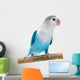 Lovebird Agapornis Fischeri Clarified Wall Decal