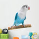 Lovebird Agapornis Fischeri Clarified Wall Decal
