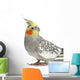 Cockatiel Parakeet 4 Years Old (female) Wall Decal