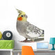 Cockatiel Parakeet 4 Years Old (female) Wall Decal