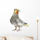 Cockatiel Parakeet 4 Years Wall Mural