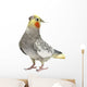Cockatiel Parakeet 4 Years Wall Mural
