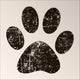 Paw Print