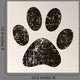 Paw Print