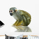 Squirrel monkey Wall Decal