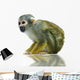 Squirrel monkey Wall Decal