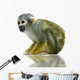 Squirrel monkey Wall Decal