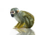Squirrel monkey Wall Decal