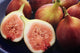 Figs