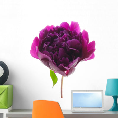 Peony Wall Decal shown on a wall