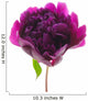 Peony Wall Decal