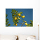 Citron Wall Decal