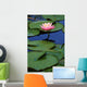 Lily Pads with Pink Lotus Flower Wall Mural