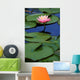 Lily Pads with Pink Lotus Flower Wall Mural