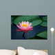 lily pads and lotus flower Wall Mural