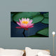 lily pads and lotus flower Wall Mural