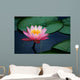 lily pads and lotus flower Wall Mural