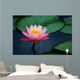 lily pads and lotus flower Wall Mural