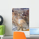 Kennecott Copper Mine (Aerial View) Wall Decal