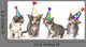 Birthday Song Singing Kittens on White Background Wall Decal