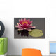 Pink Water Lily Wall Mural