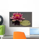 Pink Water Lily Wall Mural