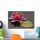 Pink Water Lily Wall Mural