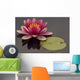Pink Water Lily Wall Mural