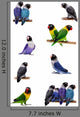 Set Lovebirds White Agapornis Wall Stickers Wall Decal