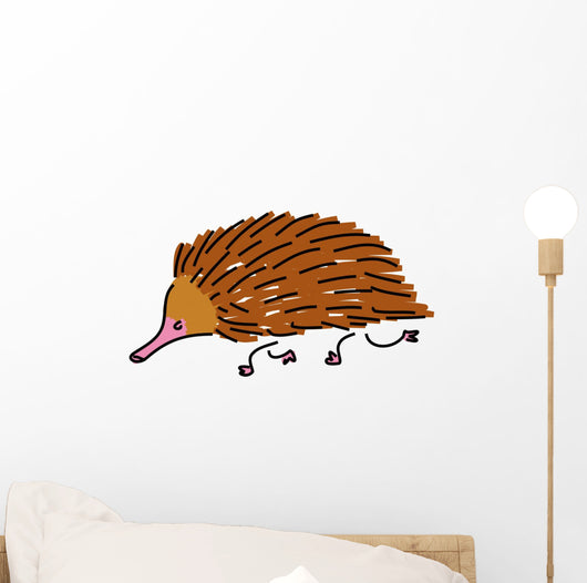 Echidna