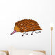 Echidna