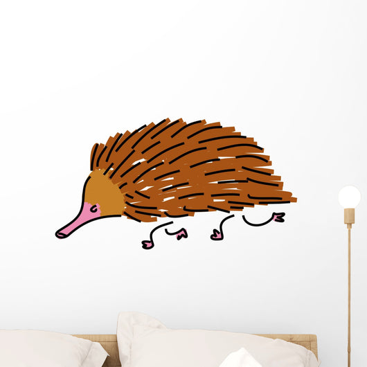 Echidna