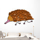 Echidna