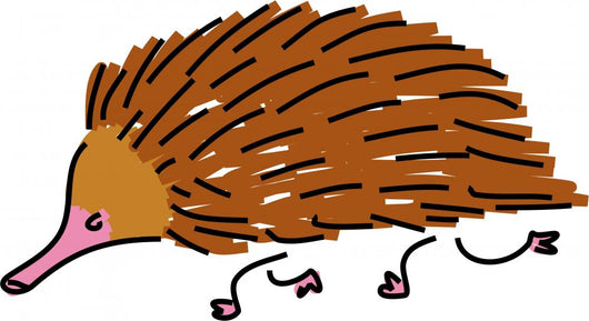 Echidna