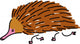 Echidna