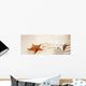 Caribbean Tropical Wavy White Sand Starfish Shell Wall Mural