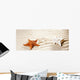 Caribbean Tropical Wavy White Sand Starfish Shell Wall Mural