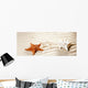 Caribbean Tropical Wavy White Sand Starfish Shell Wall Mural