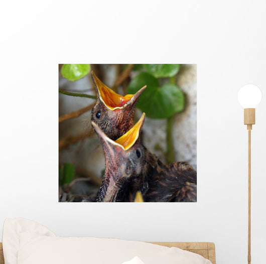 Bird Nest with Young